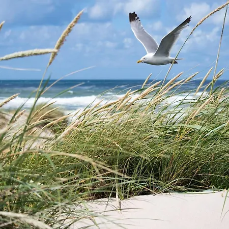 On Belgian Coast With Sea Views Knokke-Heist