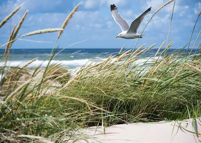 On Belgian Coast With Sea Views Knokke-Heist